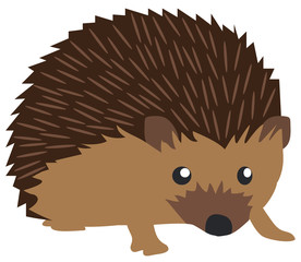 Vector Cute Hedgehog © peony