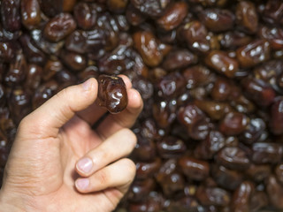 hand holding sweet single dried fruit