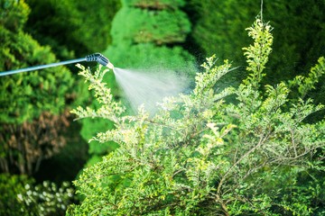 Insecticide in the Garden