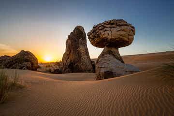 Fototapeta na wymiar Stunning mushroom rock formation embedded in a large dune area – The Fingers, Es Sba, Mauritania