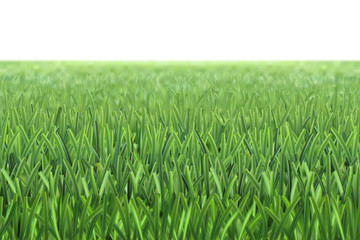 Vector grass football field background
