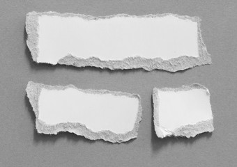 torn paper gray background with copy space for text