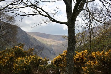 Glendalough Upper Lake Wicklow Mountains Ireland