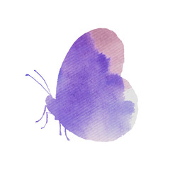 Butterfly, watercolor, silhouette. It is executed by a water color. Nature, for background, texture, wrapper, border or border.