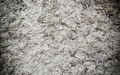 White grey carpet texture for background with vignette