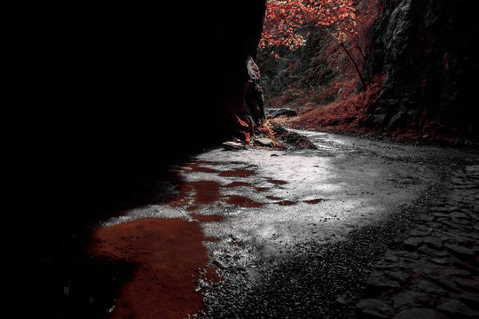 Red landscape