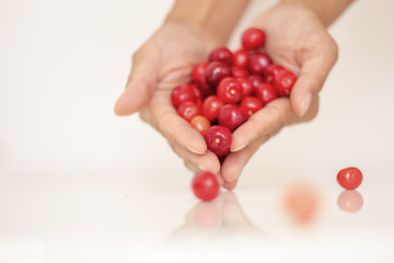  A handful of cherries in a cherry basket A cherry in a handful of cherry fruits A cherry in a handful of fruits