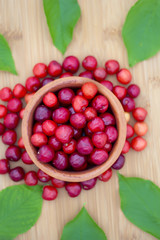  A handful of cherries in a cherry basket A cherry in a handful of cherry fruits A cherry in a handful of fruits