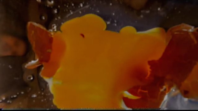 Analog capture (intentional heavy distortion fx): an egg falling on a glass floor and breaking, making a mess. Shot from below, with diegetic audio.
