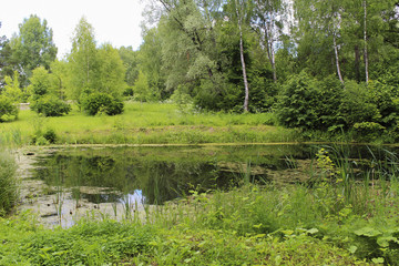 The Landscape with a pond