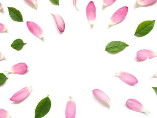 Zelfklevend Fotobehang Lotusbloem Bovenaanzicht van lotusbloemblaadjes met groene bladeren en geel stuifmeel op witte achtergrond