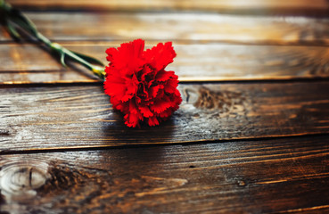 red carnation flower on wooden background