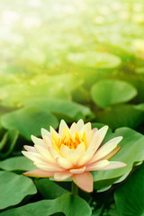 prather buddhist single women Find others who have the same beliefs as you at buddhist dating site sign up now and meet a variety of beautiful singles from all over who practice buddhism like you, buddhist dating site. prather buddhist single women Find others who have the same beliefs as you at buddhist dating site sign up now and meet a variety of beautiful singles from all over who practice buddhism like you, buddhist dating site.