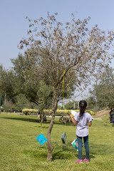 Girl reading a book on the tree