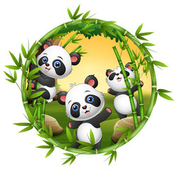 Three little panda are playing together 