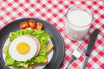 Milk with egg sandwich on the dining table