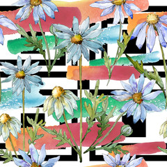 White daisy. Seamless background pattern. Fabric wallpaper print texture. Aquarelle wildflower for background, texture, wrapper pattern, frame or border.