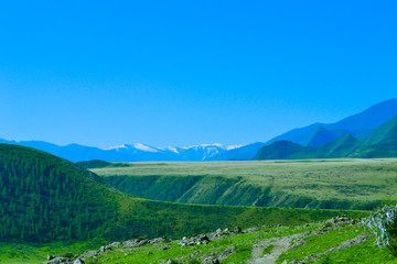 Fototapeta na wymiar Mountain green plateau