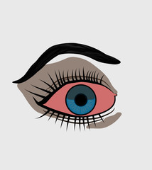 Close up clean vector illustration of eye