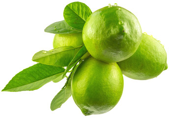  citrons verts, fond blanc 