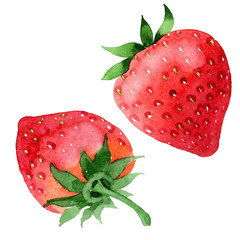 Red strawberries healthy food in a watercolor style isolated. Full name of the fruit: strawberry. Aquarelle wild fruit for background, texture, wrapper pattern or menu. - 205833440