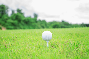 Golf ball with green background.