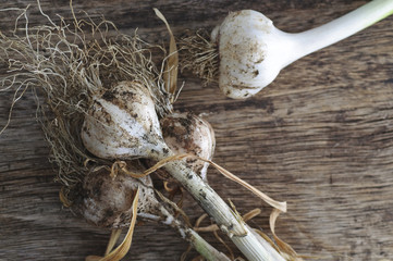 freshly picked garlic on a wooden table