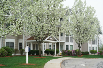 apartment building with spring trees and flower blooming