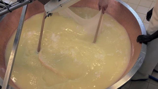 production of parmesan cheese, harvesting from brine