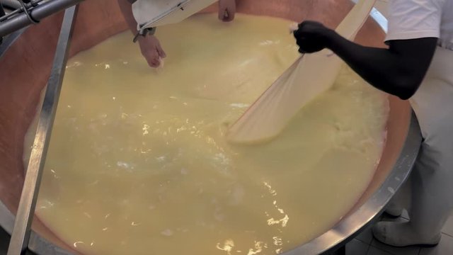 production of parmesan cheese, forming