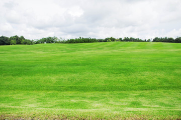 Lawn on the hill.