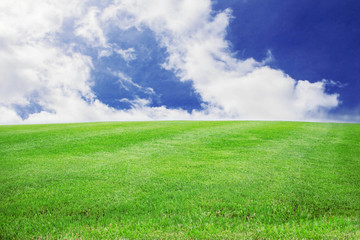 Obraz premium lawn with blue sky.
