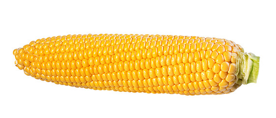 Corn isolated on white background