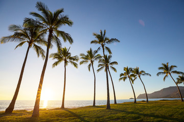 Obraz na płótnie Canvas Hawaiian beach