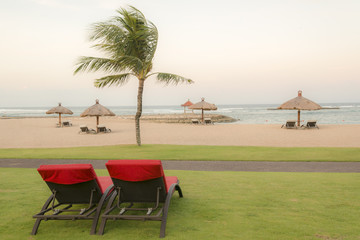 Palm trees on white sandy beach, two red sunbed. View of nice tropical beach.