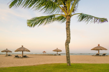 Coconut Palm trees on white sandy beach, Vacation holidays background wallpaper. View of nice tropical beach.