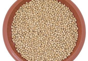 Black Eyed Peas Also Know as Chawli or Chawala isolated on White Background