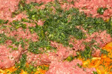 Ground meat with sauteed vegetables and chopped dill for stuffing