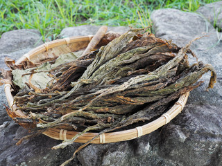 Dry tobacco leaves in bambo basket      