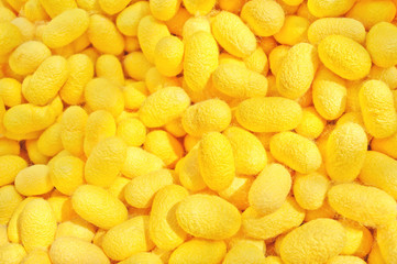 cocoon yellow details the nature of the cocoon shell.