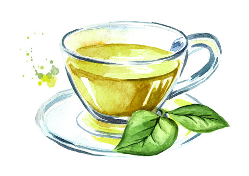 Cup with green tea with tea leaves. Watercolor hand drawn illustration, isolated on white background
