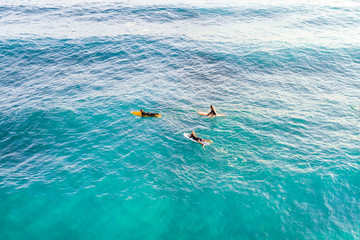 Three surfers relax in the ocean, top view