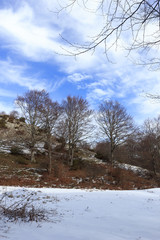 pathway mountain landscape with snow