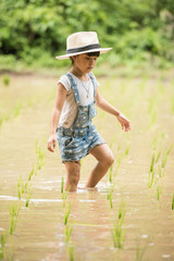 children are helping each other manage their seedlings. To grow rice fields.