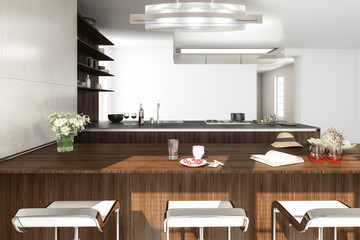 Modern Kitchen Arrangement (concept)