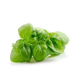 fresh basil leaves
