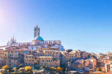 Fototapeta na wymiar Siena cathedral on a sunny day; Tuscany; Italy