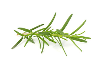 Fototapeta premium Świeży, surowy rozmaryn wyizolowanych na białym tle