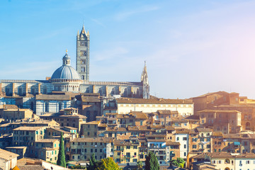 Fototapeta na wymiar Siena cathedral on a sunny day; Tuscany; Italy