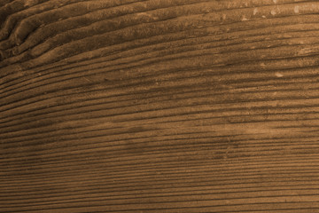 beautiful Old wooden taxture Dark color for background